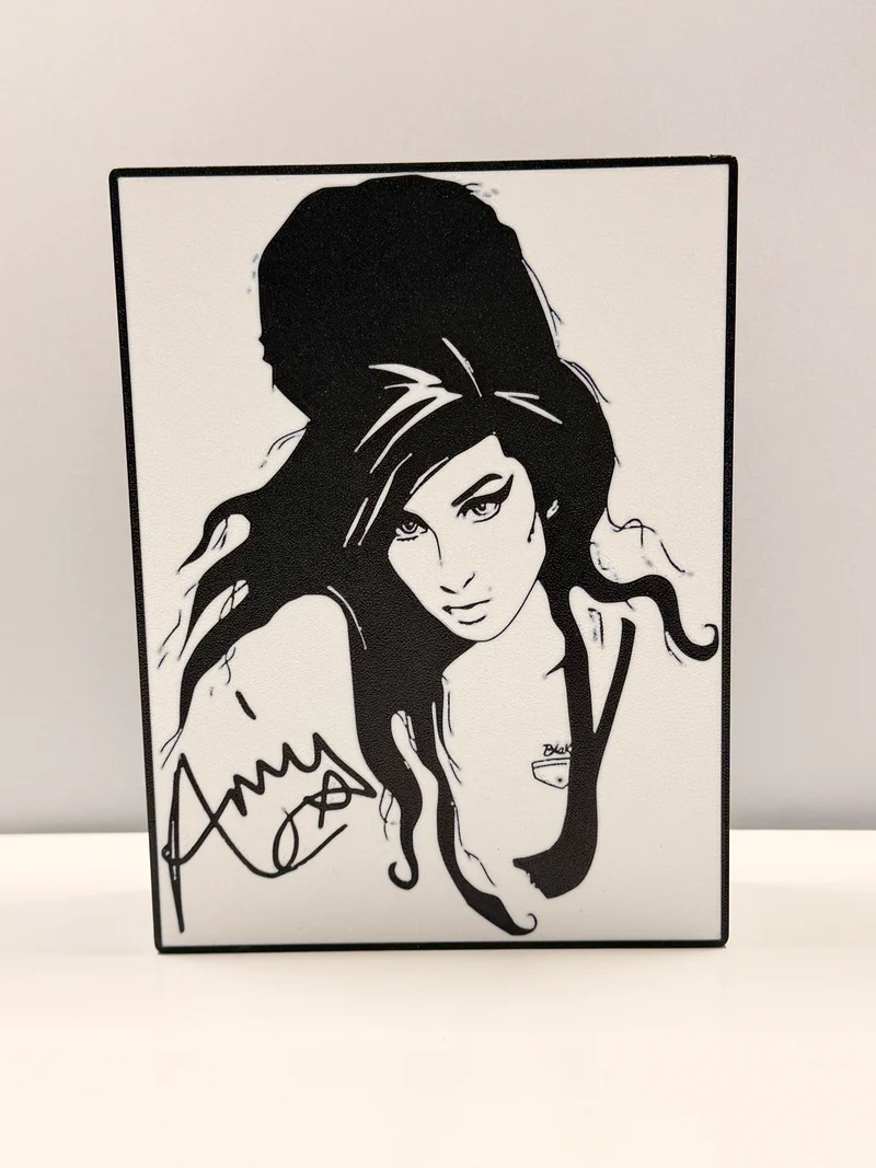 Quadro in Scatola Luminosa a LED di Amy Winehouse