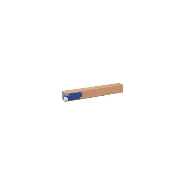 Epson Photo Paper Gloss(250), in rotoli da111,8cm (44'') x 30, 5m [C13S041895]
