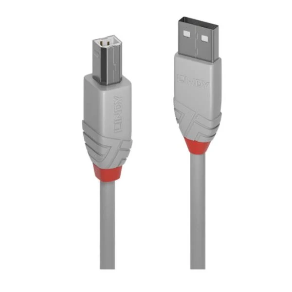 Lindy 36684 cavo USB USB 2.0 3 m USB A USB B Grigio