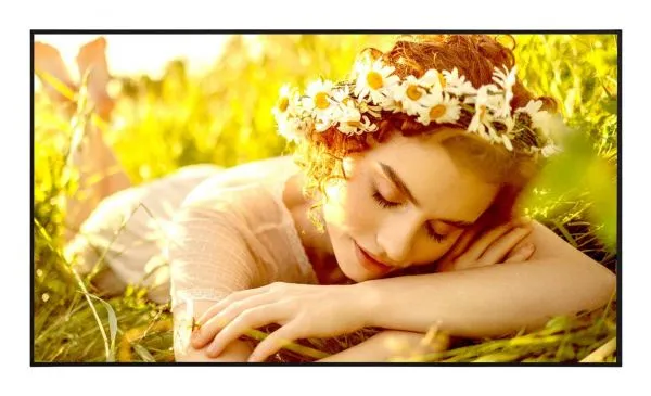 65 LED ADS, 3840X2160, 16:9, 500 NIT, 1200:1 [65UL5Q-E.AEUQ]