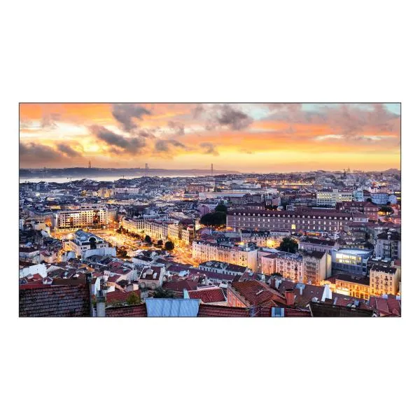 Samsung VH55C-E LCD Interno [LH55VHCEBGBXEN]