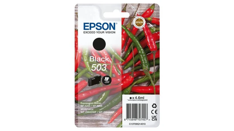 Epson 503 cartuccia d'inchiostro 1 pz Originale Resa standard Nero [C13T09Q14010]