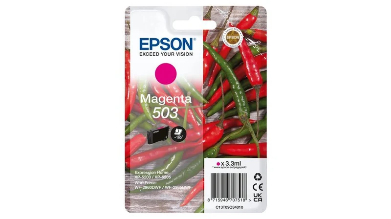 Epson 503 cartuccia d'inchiostro 1 pz Originale Resa standard Magenta [C13T09Q34010]