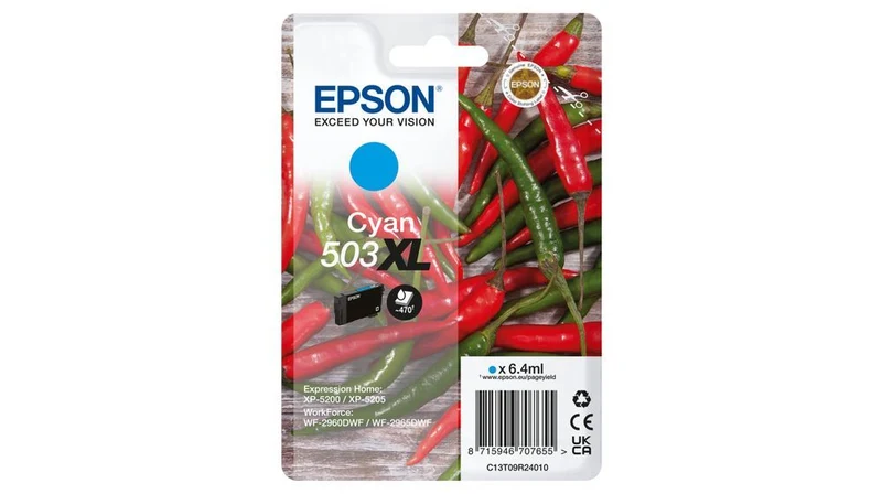 Epson Singlepack Cyan 503XL Ink [C13T09R24010]