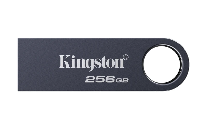 Kingston Technology DataTraveler 256GB SE9 G3 - Nichel scuro