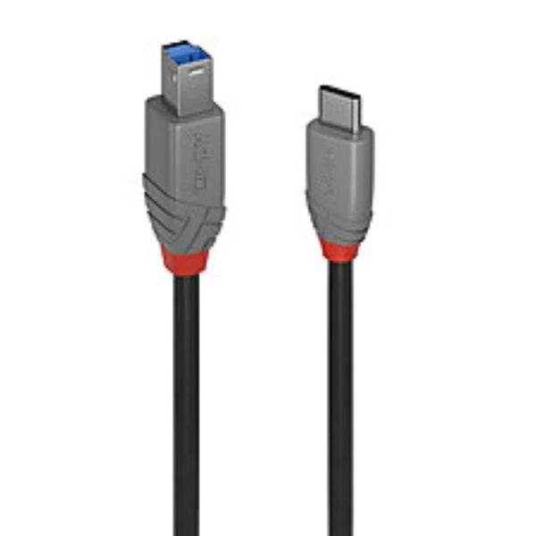 Lindy 36667 cavo USB USB 3.2 Gen 1 (3.1 Gen 1) 2 m USB C USB B Nero