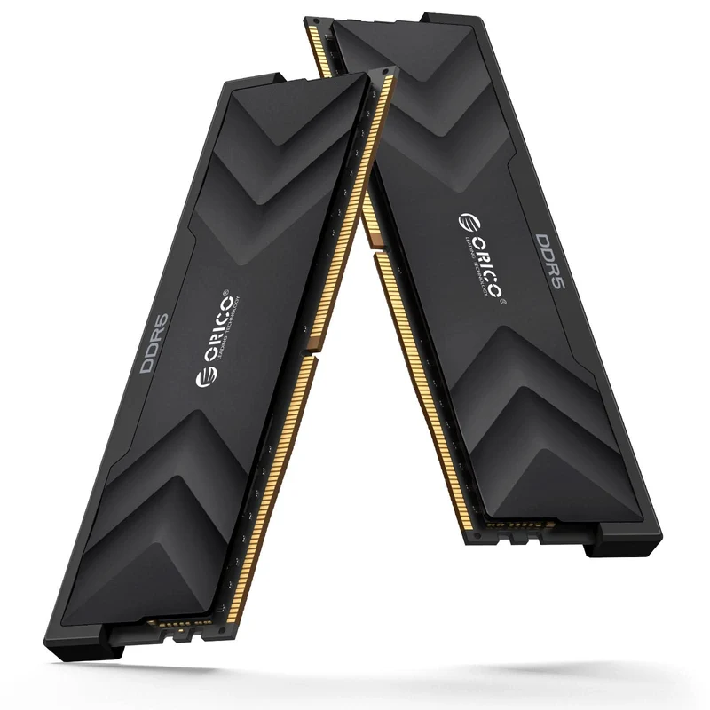 ORICO Raceline Champion DDR5 Memory RAM