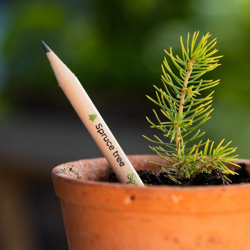 Matita Sprout Personalizzata