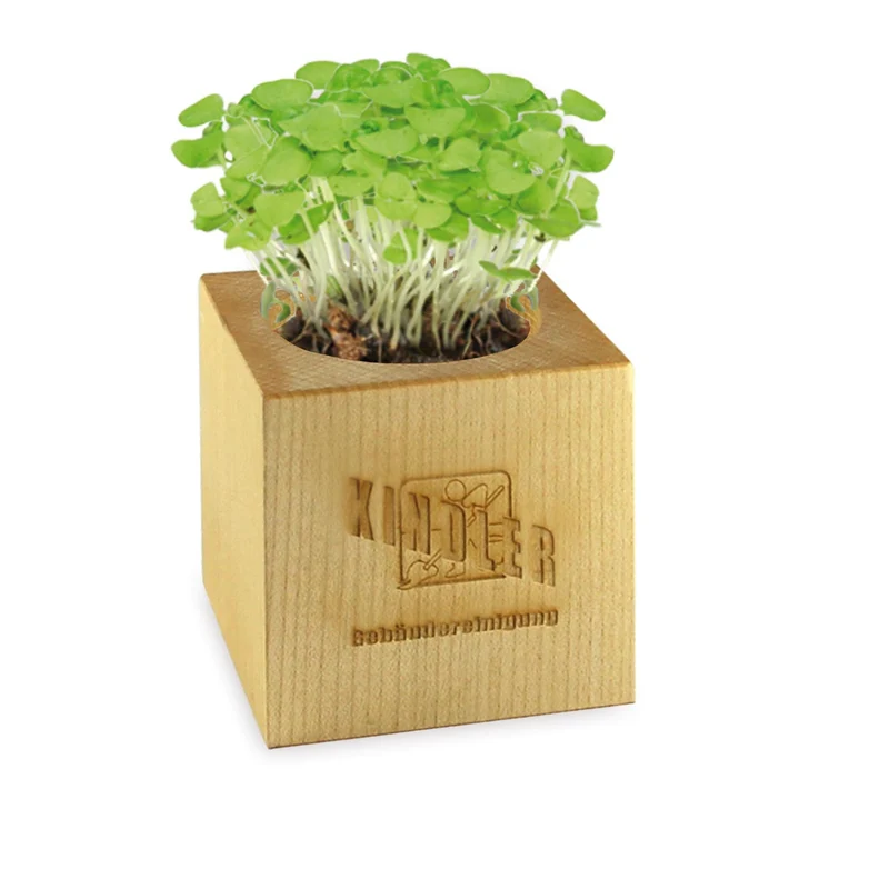 Ecocube Magnetico Personalizzato