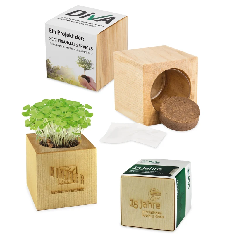 Maxi Ecocube Personalizzato (6cm x lato)