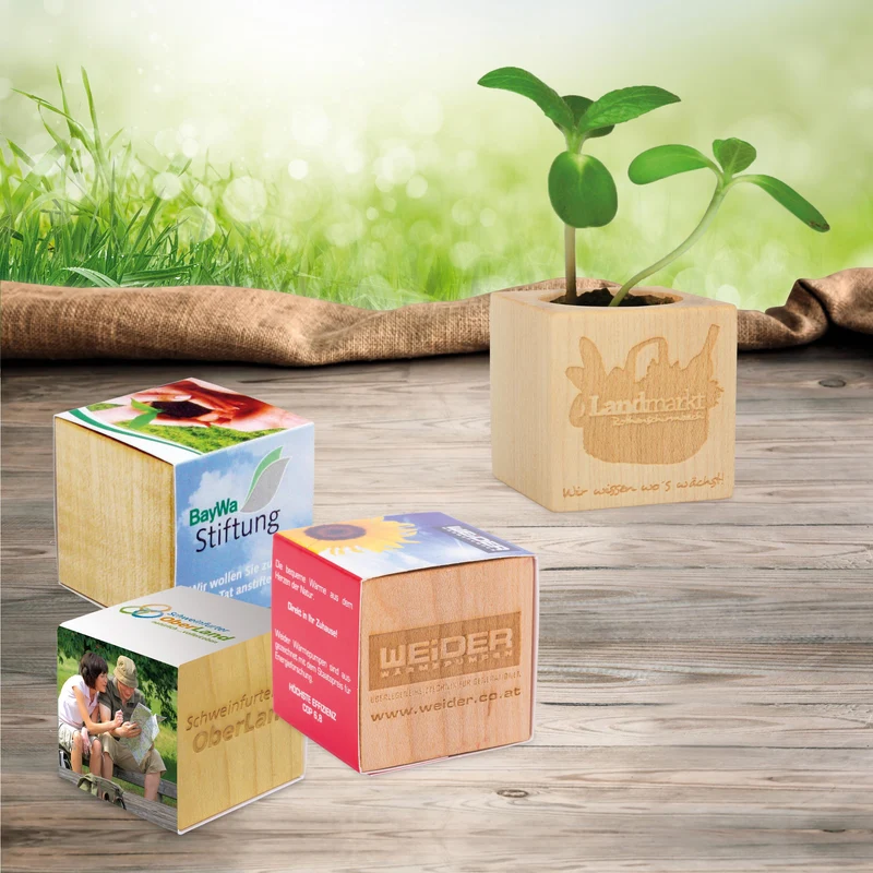 Ecocube Personalizzato (4cm x lato)