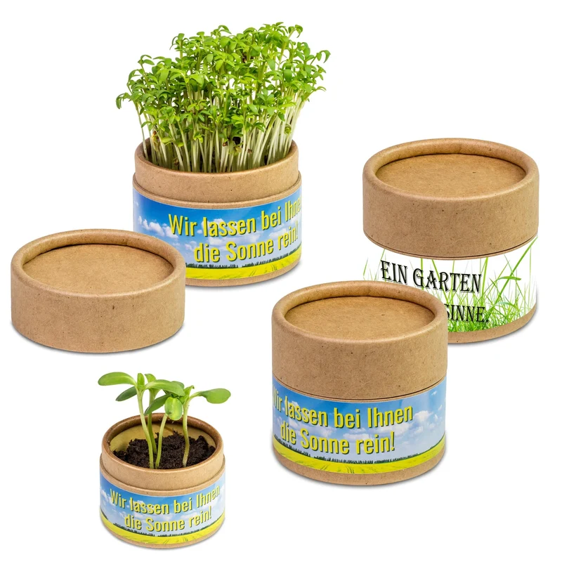 Confezione Eco con Piante