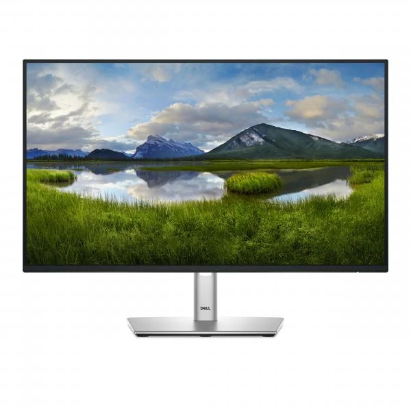 DELL 24 MONITOR - P2425H [DELL-P2425H]