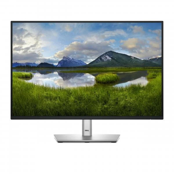 DELL DELL 24 MONITOR - P2425 [DELL-P2425]