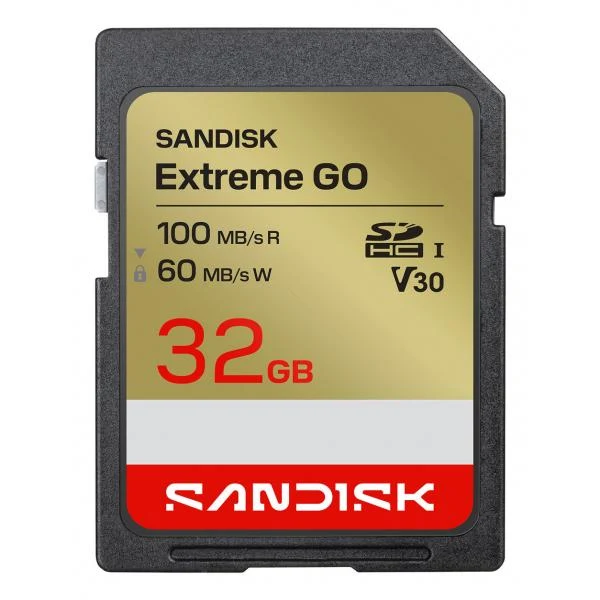 SanDisk Extreme GO 32 GB SDHC UHS-I [SDSDXGN-032G-GNCIN]