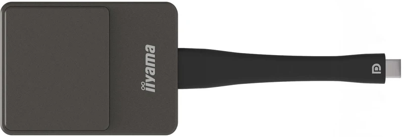 iiyama WP D002C dongle Smart TV USB 4K Ultra HD Nero, Argento [WPD002C]