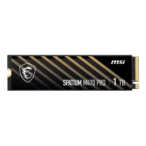 MSI SPATIUM M470 PRO PCIe 4.0 NVMe M.2 2 TB PCI Express 4.0 3D NAND [S78-440Q990-P83]