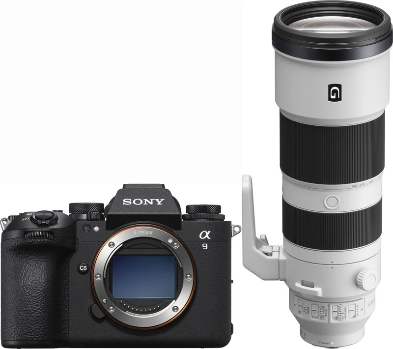 Sony Alpha ILCE-9 III + Sony SEL 200-600mm f/5.6-6.3