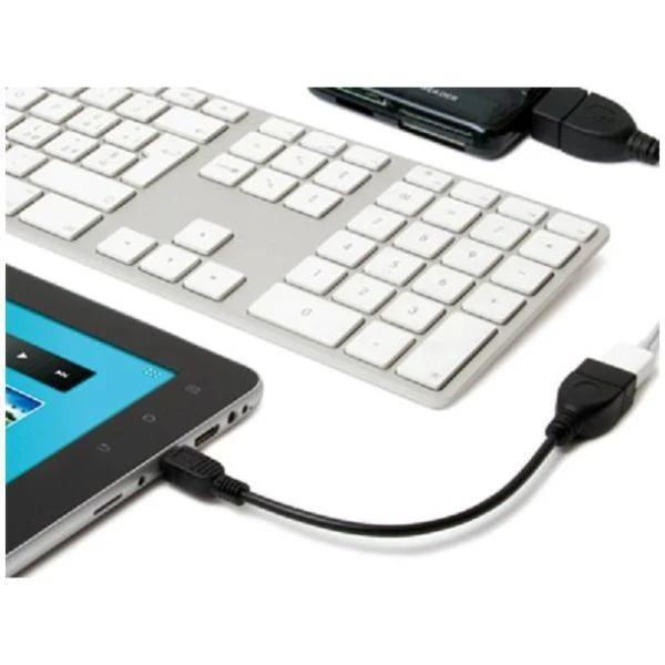 CAVO ADATTATORE MINIUSB TO USB OTG