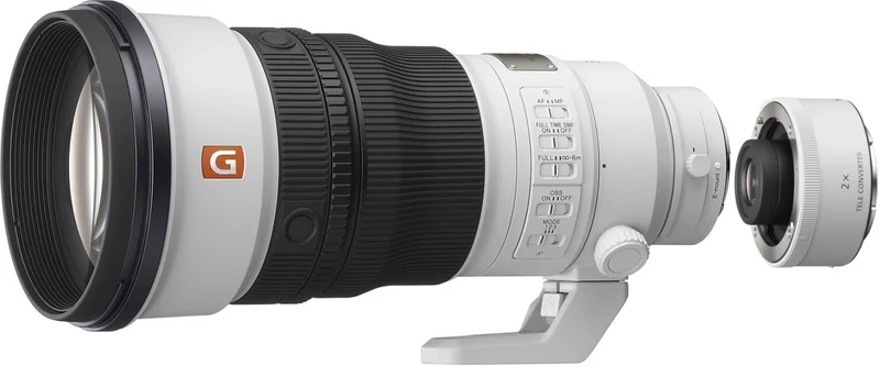 Sony SEL FE 300mm f/2.8 GM OSS + 2.0x tele converter