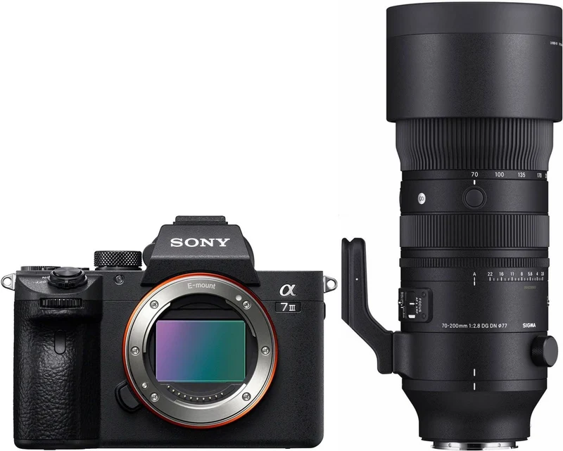 Sony Alpha ILCE-7 III + Sigma 70-200mm f/2.8 DG DN OS (S)