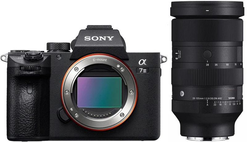 Sony Alpha ILCE-7 III + Sigma 28-105mm f/2.8 DG DN