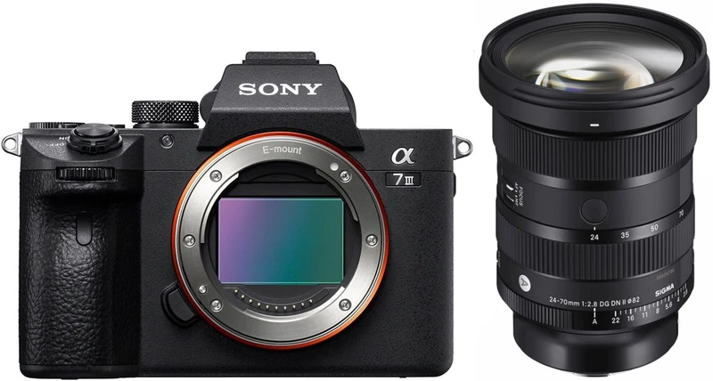 Sony Alpha ILCE-7 III + Sigma 24-70mm f/2.8 DG DN II (A)