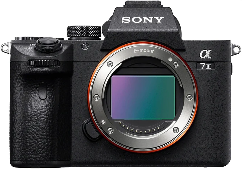 Sony Alpha ILCE-7 III + Sigma 16-28mm f/2.8 DG DN