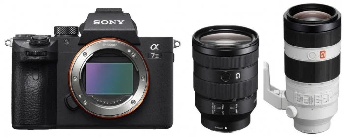 Sony Alpha ILCE-7 III (ILCE7M3) + SEL 24-105mm f/4.0 + FE 100-400mm OSS