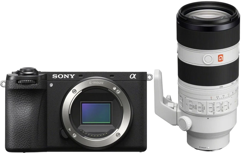 Sony Alpha ILCE-6700 + Sony FE 70-200mm f/2.8 GM II