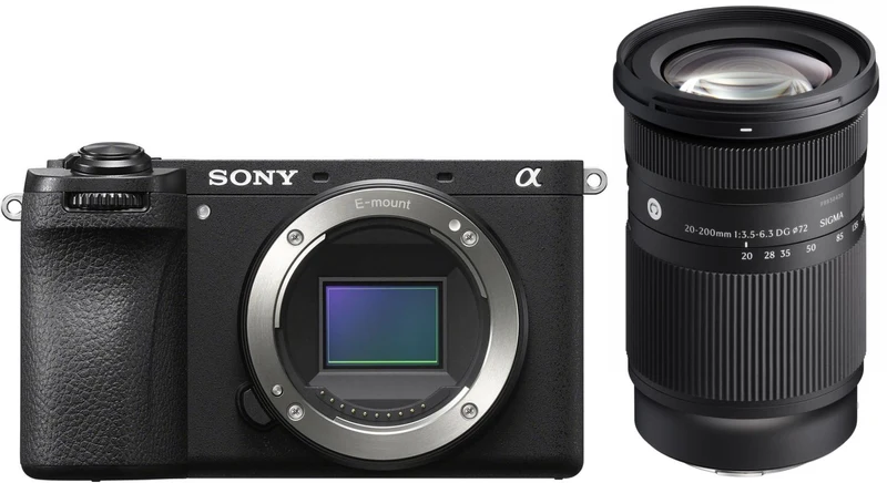 Sony Alpha ILCE-6700 + Sigma 20-200mm f/3.5-6.3 DG (C)