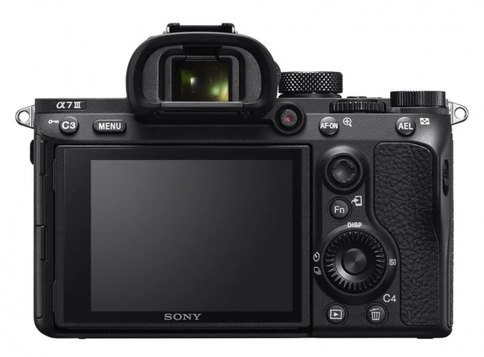 Sony ILCE-7 III (ILCE7M3) + Tamron 35-150mm f/2.0-2.8