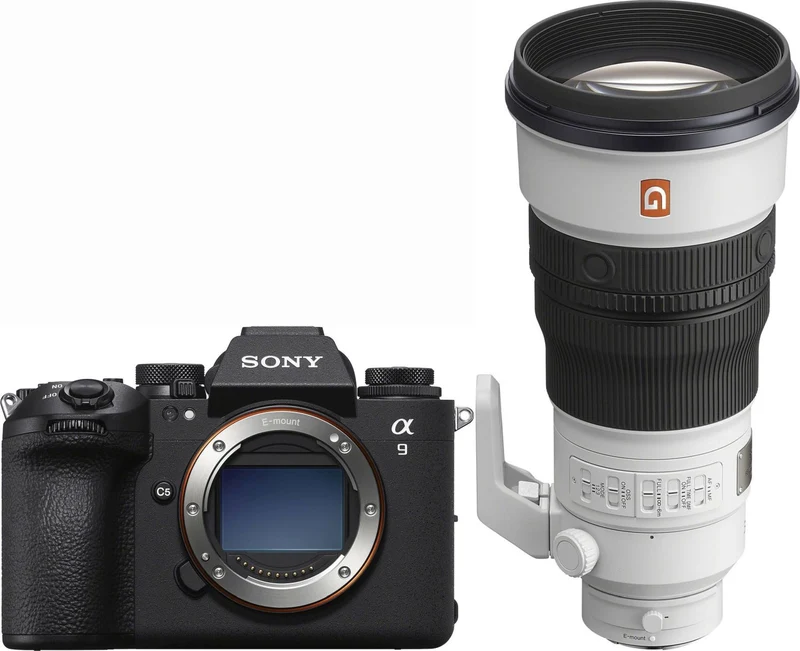 Sony Alpha ILCE-9 III + Sony SEL FE 300mm f/2.8 GM OSS
