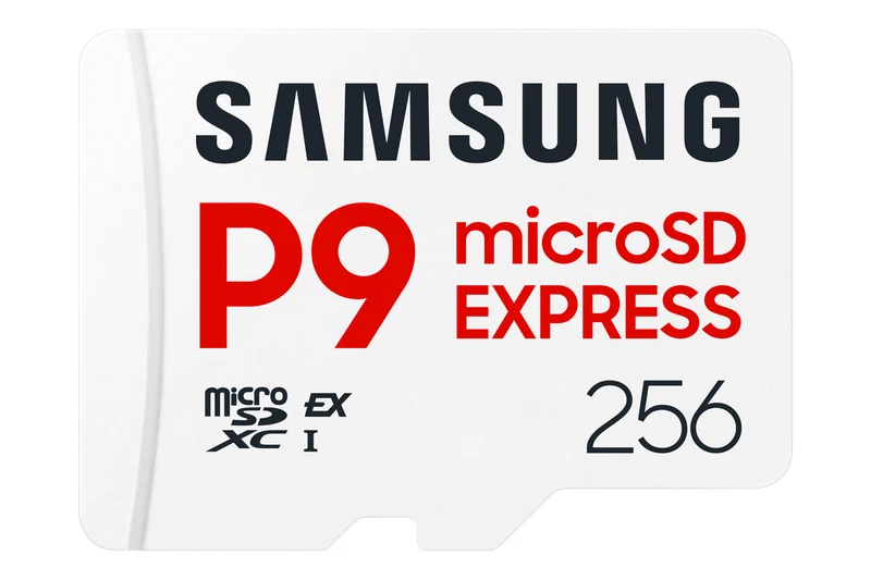 Samsung P9 Express microSD Memory Card 256 GB