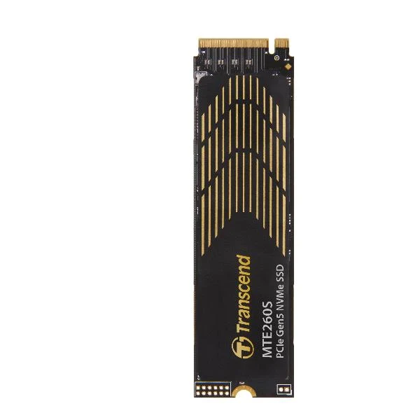 1TB M.2 2280 PCIE GEN5X4 NVME + HS