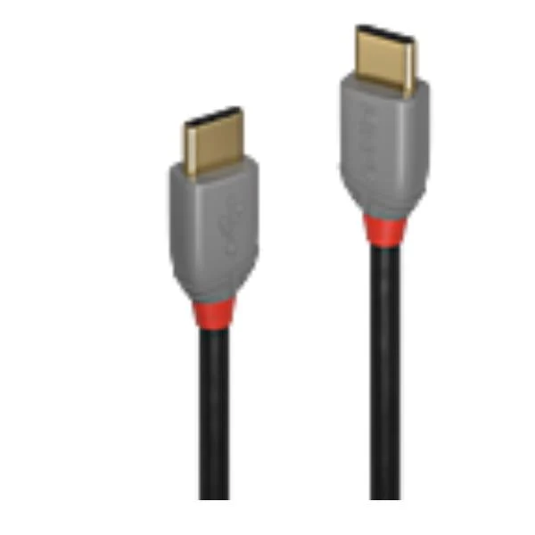 Lindy 36872 cavo USB USB 2.0 2 m USB C Nero, Grigio