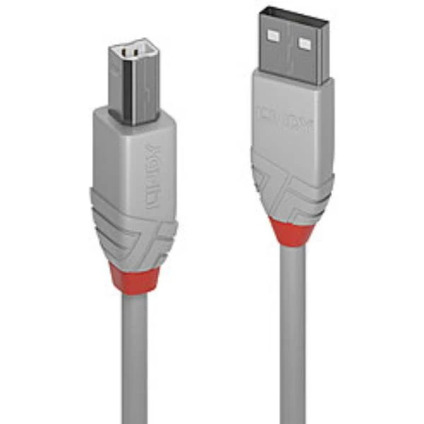 Lindy 36681 cavo USB USB 2.0 0,5 m USB A USB B Grigio