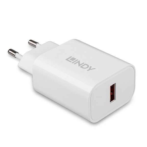 Lindy 73412 Caricabatterie per dispositivi mobili Smartphone, Tablet Bianco AC Ricarica rapida Interno, Esterno