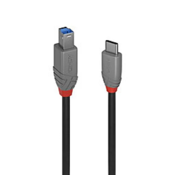 Lindy 36668 cavo USB USB 3.2 Gen 1 (3.1 Gen 1) 3 m USB C USB B Nero