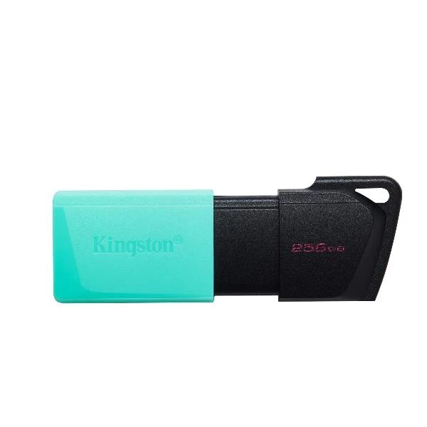 Kingston Technology DataTraveler 256GB USB3.2 Gen1 Exodia M (Nero + Verde ottanio)