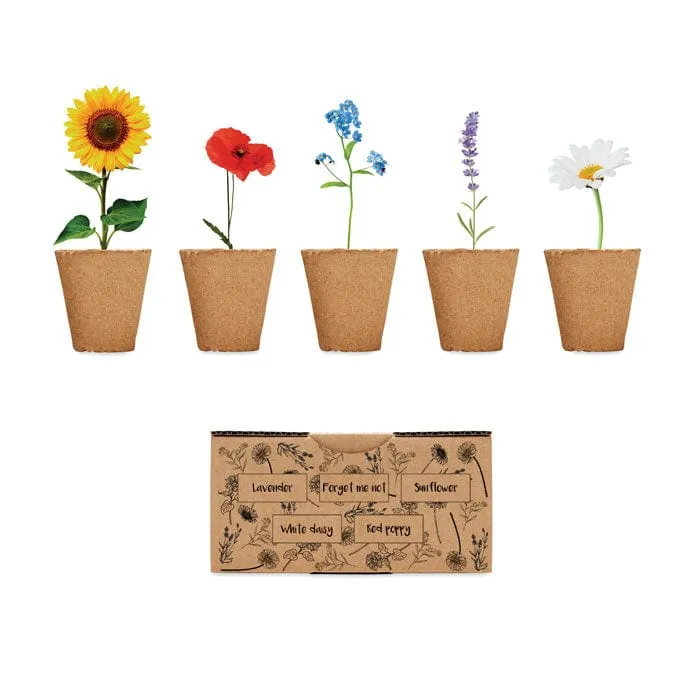 Kit per coltivare fiori
