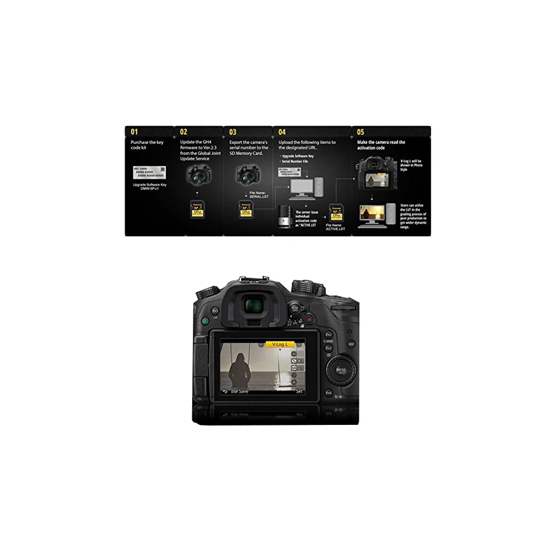 Panasonic Upgrade DMW-SFU1GU