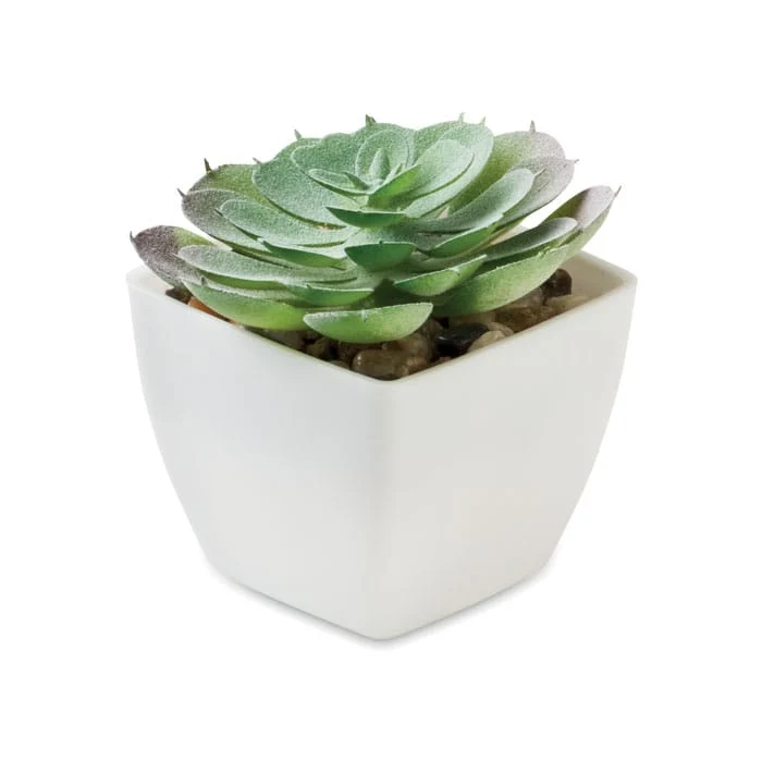 Mini pianta artificiale echeveria forma