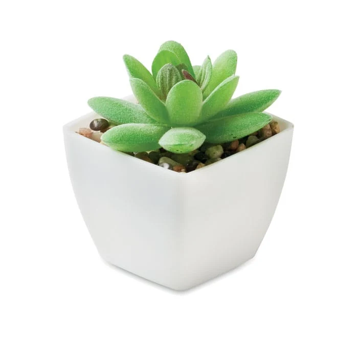 Mini pianta artificiale graptopetalum paraguayense