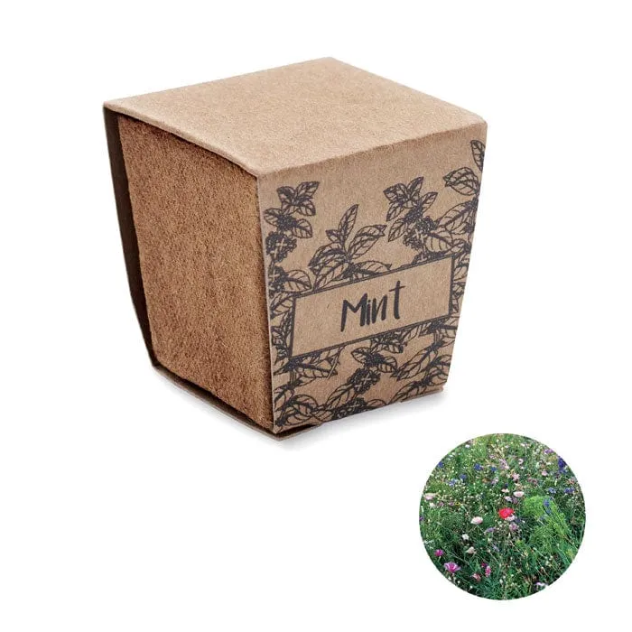 Kit per semi di menta