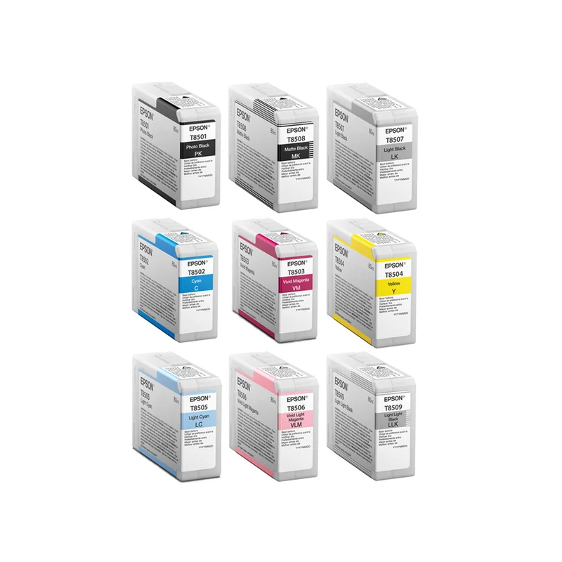 Epson cartuccia originale per P800