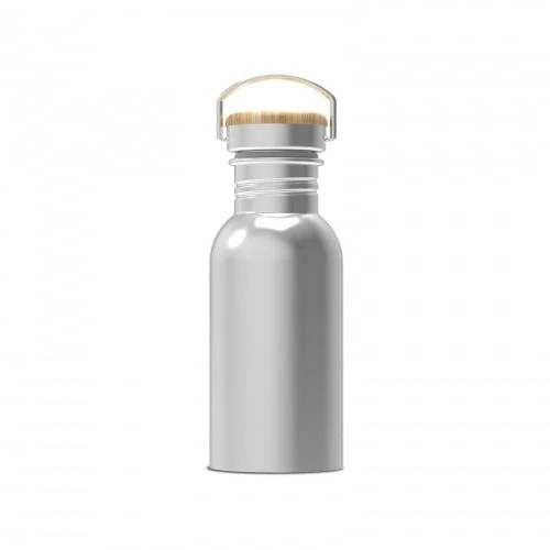 Borraccia Ashton 500ml