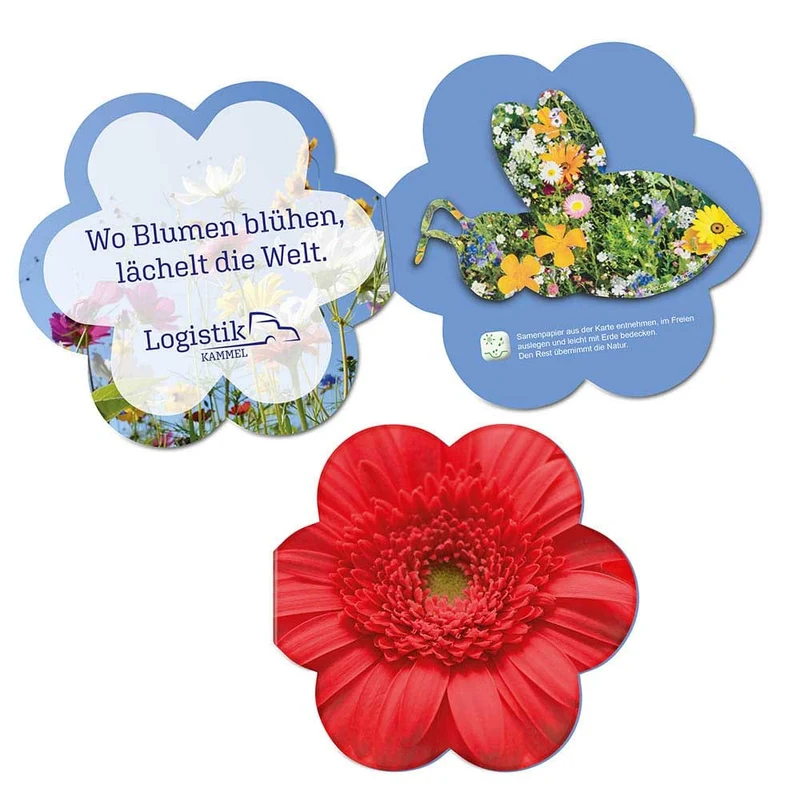 Cartolina pieghevole a forma di fiore con semi