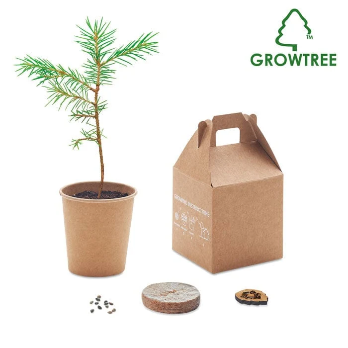 Set albero di pino