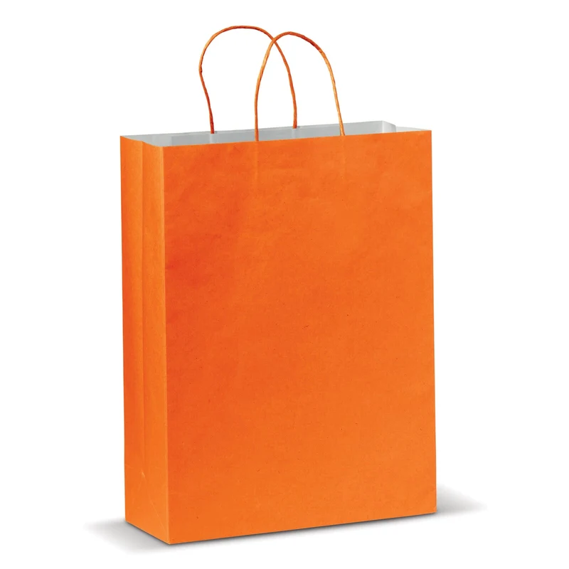 Borsa in carta - Grande 120g/m²